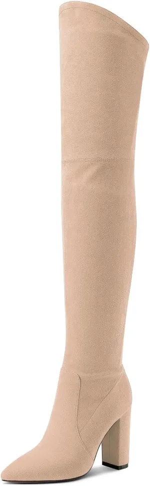 Castamere Womens High Heels Over The Knee Boots Sexy Pointy Toe Chunky Block 10CM Heel Boot with Zipper