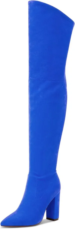 Castamere Womens High Heels Over The Knee Boots Sexy Pointy Toe Chunky Block 10CM Heel Boot with Zipper