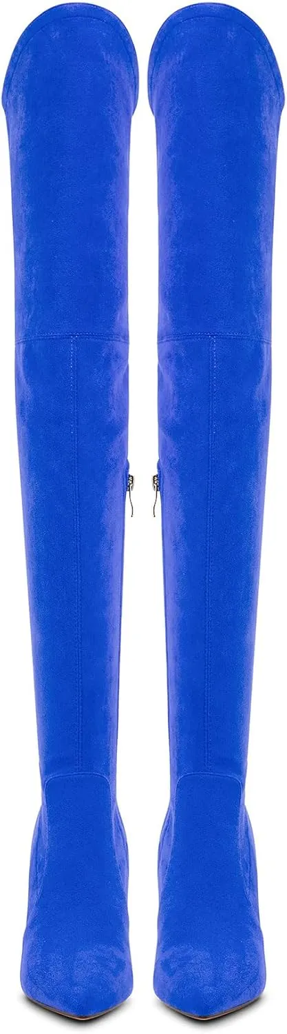 Castamere Womens High Heels Over The Knee Boots Sexy Pointy Toe Chunky Block 10CM Heel Boot with Zipper
